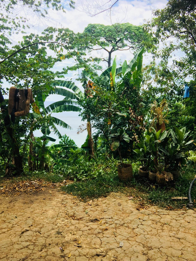 4, Camp Talusi Hilltop Overlooking, El Nido