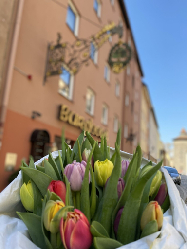 Exterior & Views 2, Burghotel Nürnberg, Nürnberg