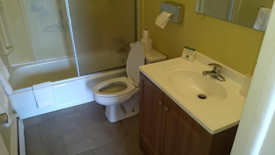Bathroom 3, Baw Beese Inn, Hillsdale
