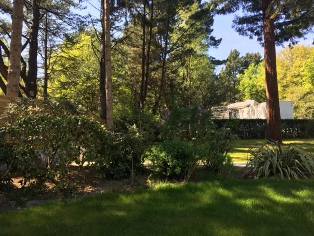 Others 3, Le sequoia, Loire-Atlantique