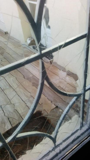 Others 5, Chambre en ville dans un esprit campagne, Aube