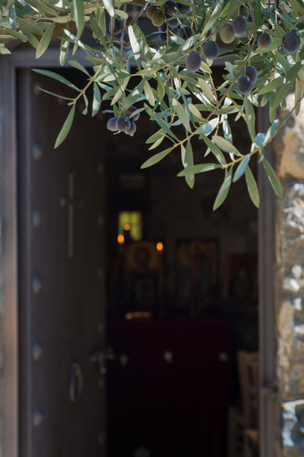 Exterior & Views 2, Opora Country Living, Peloponnese