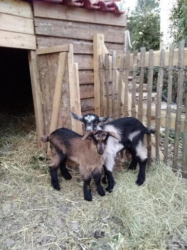 Others 4, La cabane des Pachous, Var