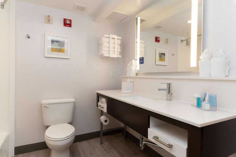 Bathroom 5, Hampton Inn & Suites Arlington Crystal City DCA, Arlington