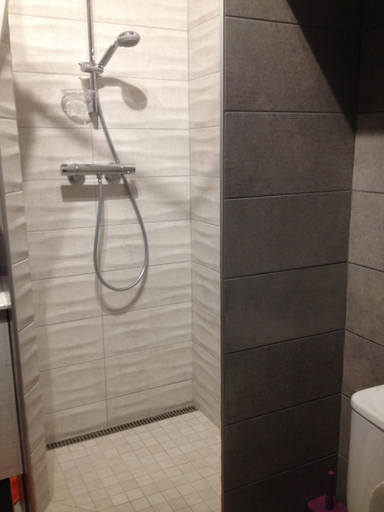 Bathroom 3, Le Croix Roussien Lyon centre, Rhône