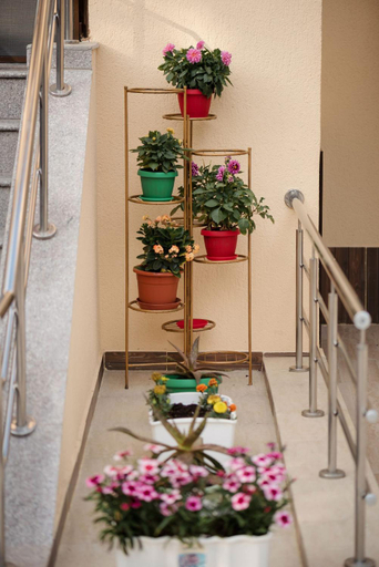 Others 2, Casa Octaral, Agigea