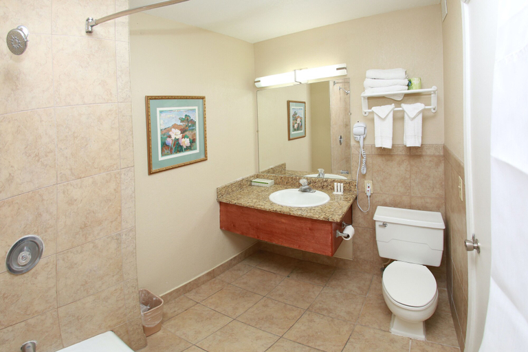 Bathroom 4, Ramada by Wyndham Fresno North, Fresno