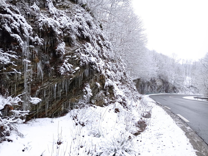 Others 4, Les Ecureuils, Ardennes