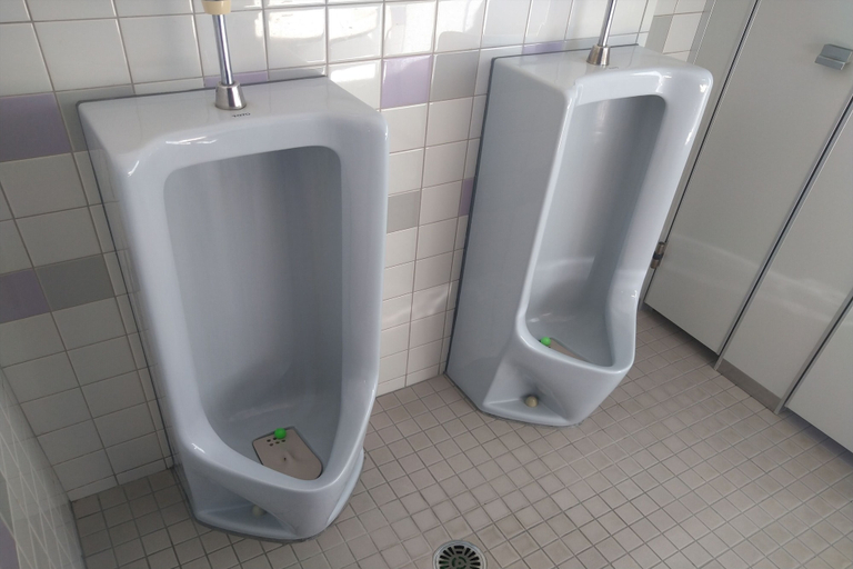 Bathroom 5, Uminooyado, Susami