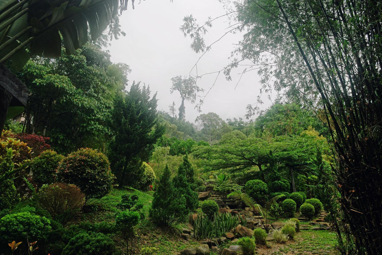 Others 4, Harmony Valley Retreat, Bentong