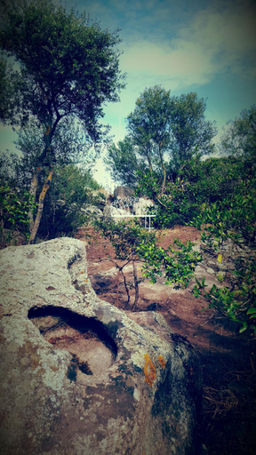 Others 4, Nacchinono, Olbia-Tempio