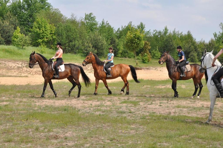 Others 3, Stajnia pod Debem, Starachowice
