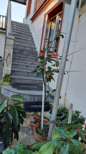 Others 4, Boutique hotel, Khobi