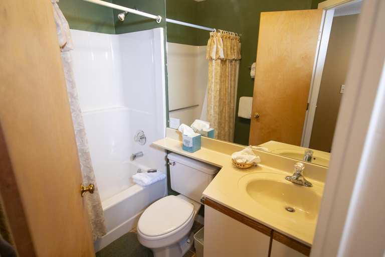 Bathroom, 1Br Ski-in, Ski-out With King Bed- Okemo Mtn Lodge condo, Windsor