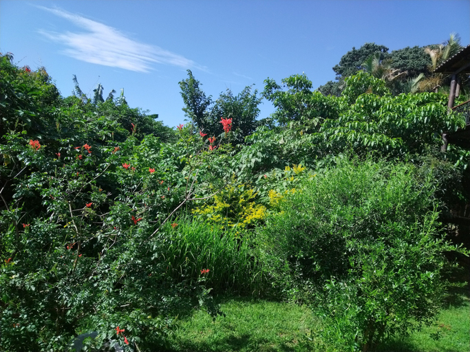 Others 5, The Tropical Hut Lodges, Uthungulu