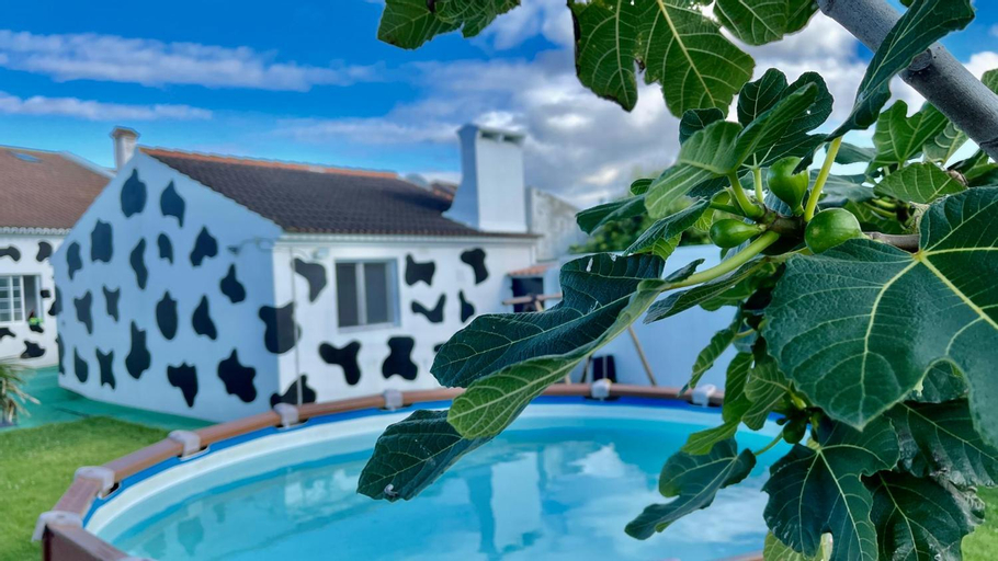 Sport & Beauty 2, Azores Cow House, Ribeira Grande