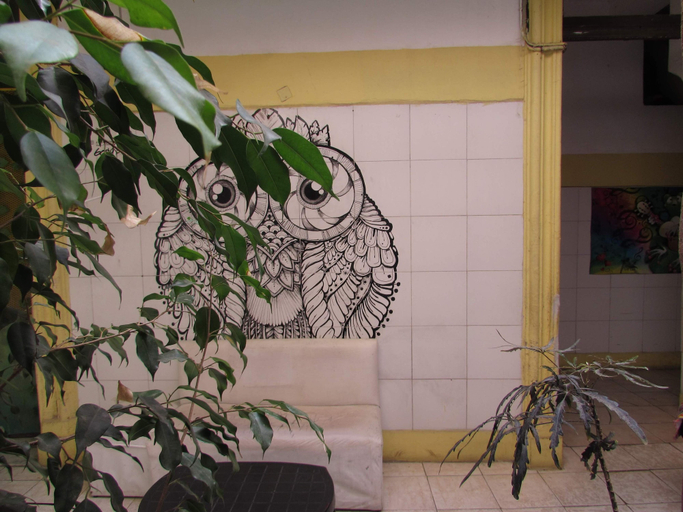 Others 4, Hospedaje La Rana, Distrito Federal