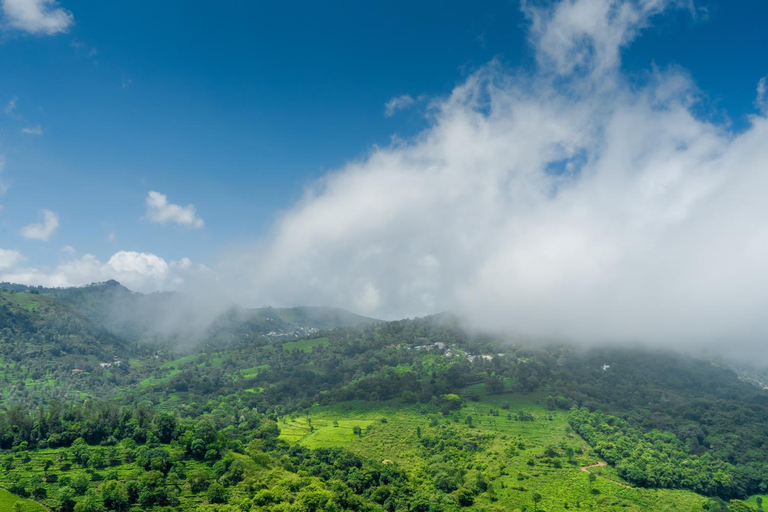 Others 2, Biosphere, The Nilgiris
