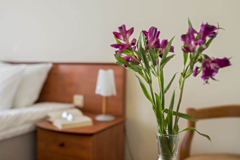Bedroom 3, Best Baltic Kaunas Hotel, Kauno
