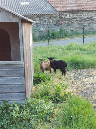 Others 1, Cottage Le Cabanon, Manche
