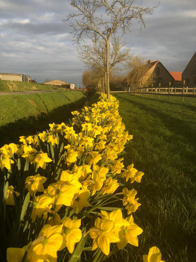 Others 3, B&B - Ter Douve, West-Vlaanderen