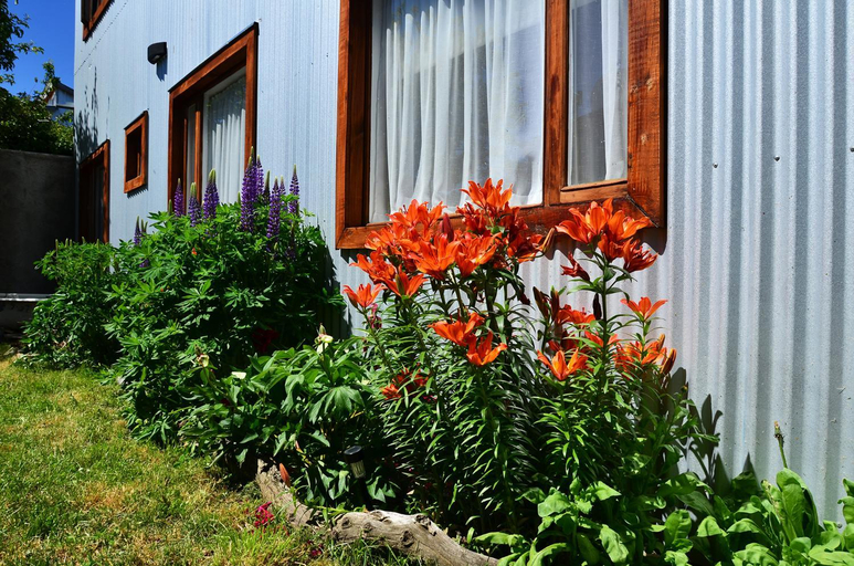 Others 4, El Patagonico Hostel, Última Esperanza