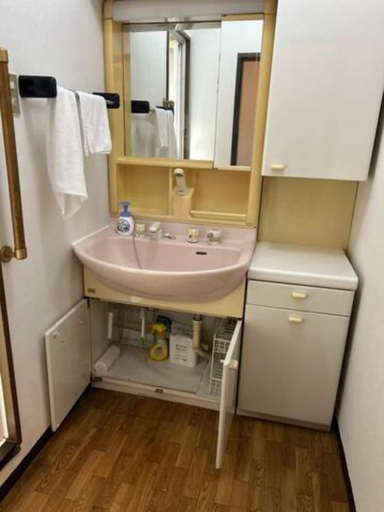 Bathroom 4, Famille Naniwa 501, Osaka