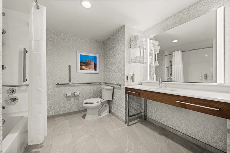 Bathroom 4, Hampton Inn & Suites Bessemer Birmingham, Jefferson