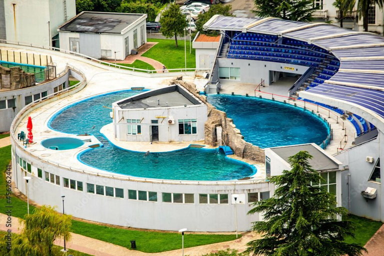 Sport & Beauty, Holiday Lux Sea Towers Batumi, Batumi