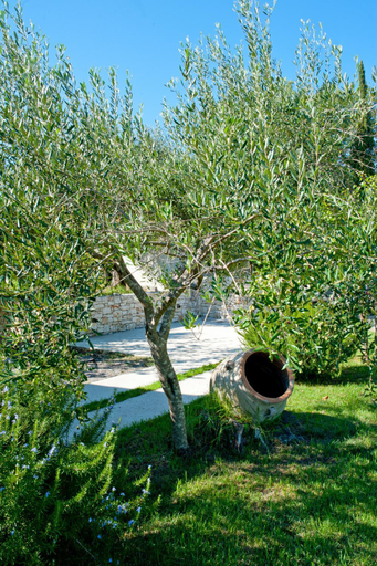 Others 5, Villa Rodia, Ionian Islands