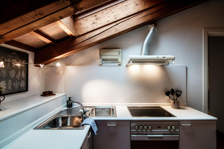 Others 5, Salorino Apartments, Mendrisio