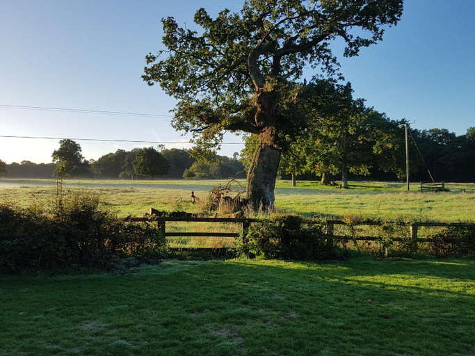 Others 5, The Barn Tarporley, Cheshire East