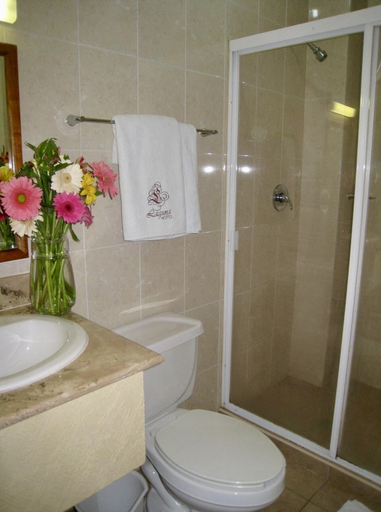 Bathroom, Hotel Laguna Tampico, Tampico