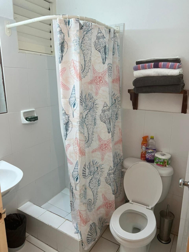 Bathroom, Malibu ocean View Studio