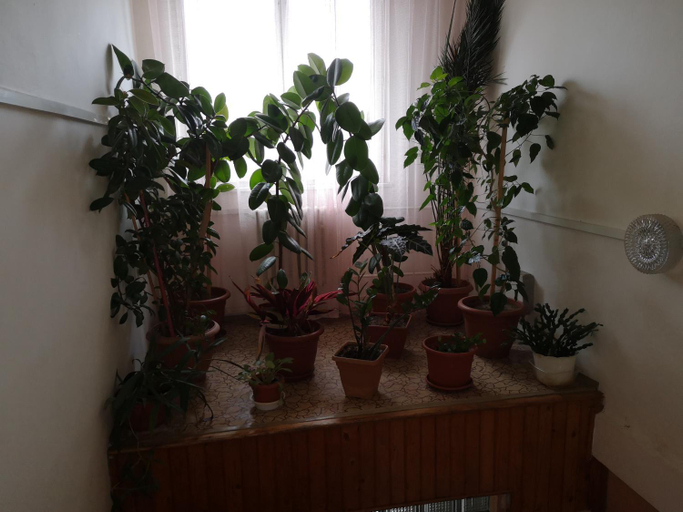 Others 3, Biela Labut, Michalovce