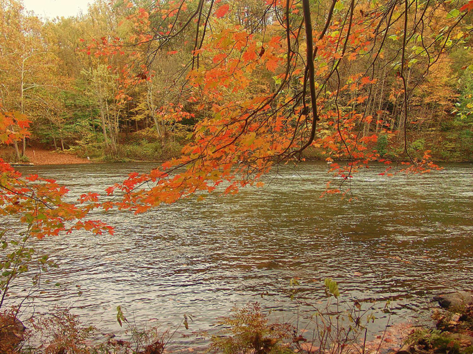 Others 3, Paddler's Lane Retreat, Fayette
