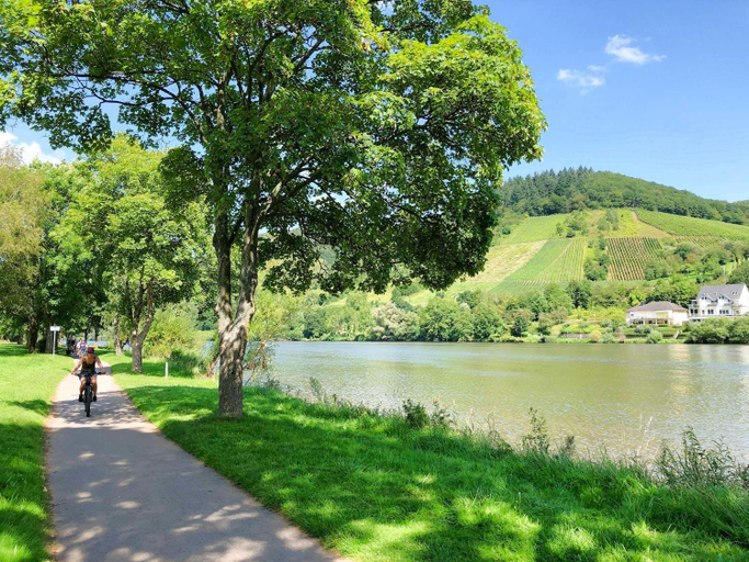 Others 5, Ferienhaus Am Moselradweg, Cochem-Zell