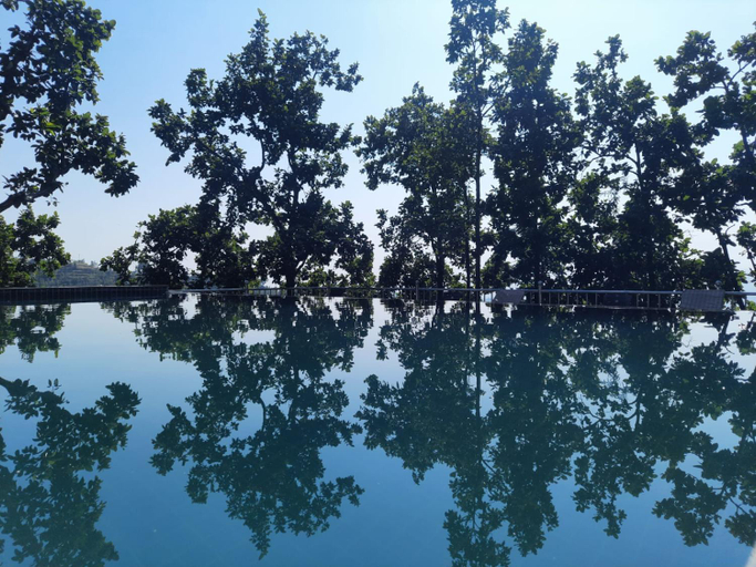 Others 5, Blue Pine Orchards, Garhwal