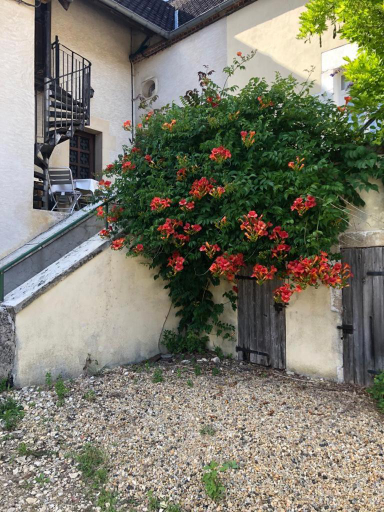 Les chambres du Moulin, Cher