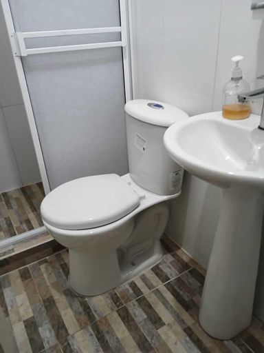 Bathroom 3, Mom's House Floralia, Palmira