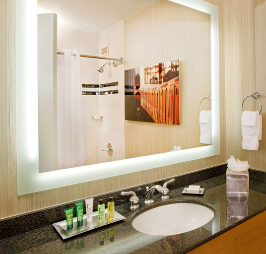 Bathroom 5, Hilton Newark Airport, Newark