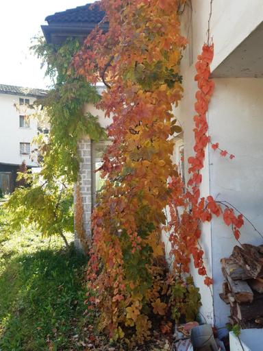 Others 5, Locanda Rondolost, Belluno