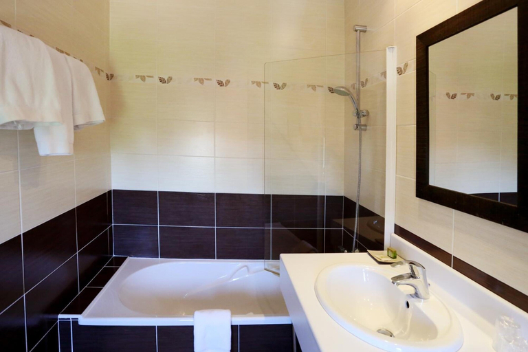 Bathroom 4, Logis Le Chateau Blanchard, Loire