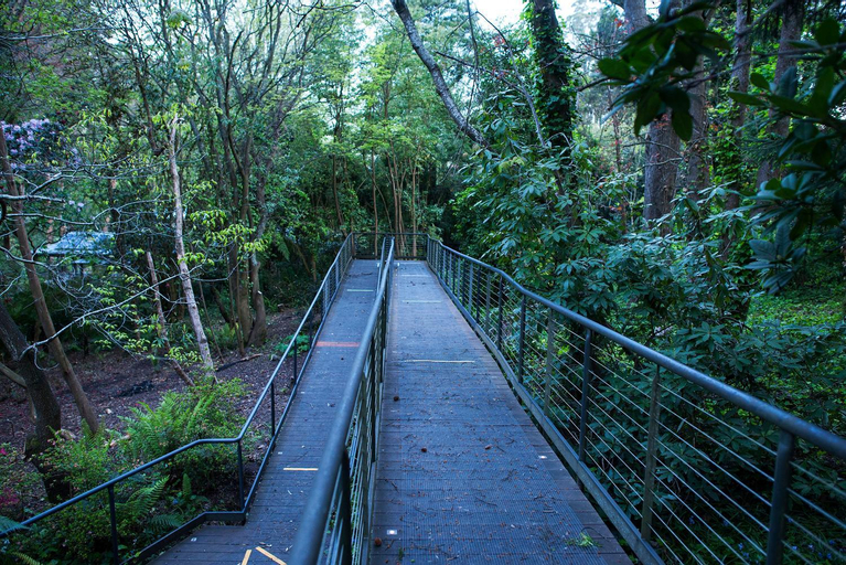 Scenery 12