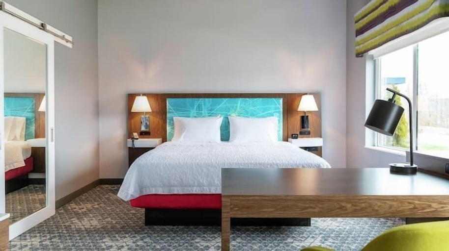 Hampton Inn & Suites Chicago Medical District UIC, Cook