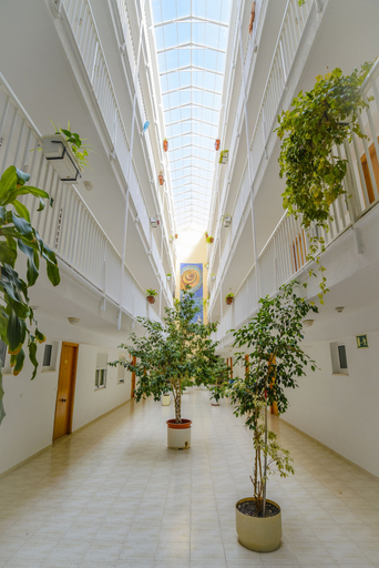 Others 5, Apartamentos Avenida, Alicante