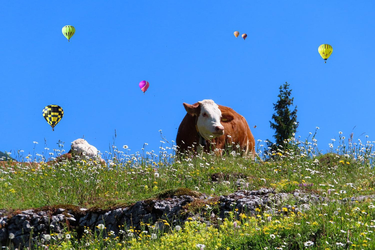 Others 2, Alpenhaus Donnerkogel, Hallein