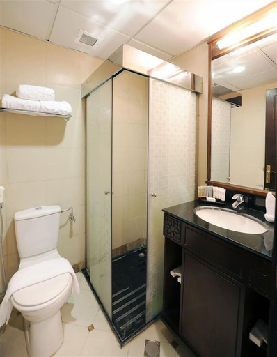 Bathroom 5, Meshal Al Madina 1, Al Madinah Al Munawwarah