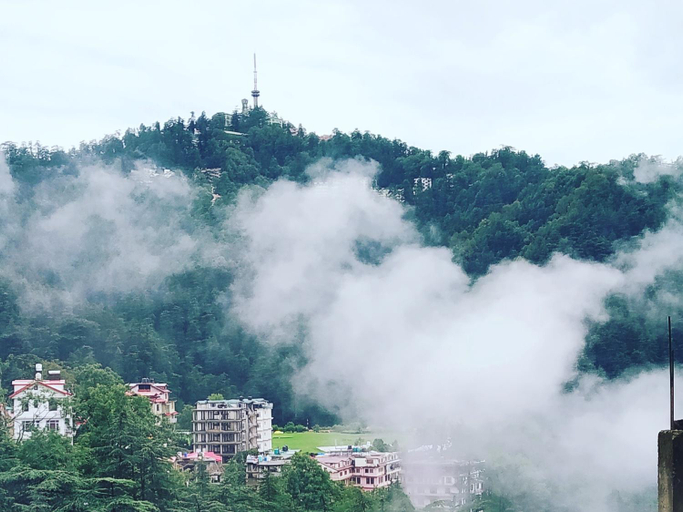 Others 5, Shimla Pines Homestay, Shimla