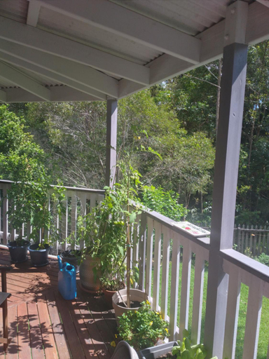 Others 4, Near to Everything Yet in a Rainforest setting, Noosa - Tewantin